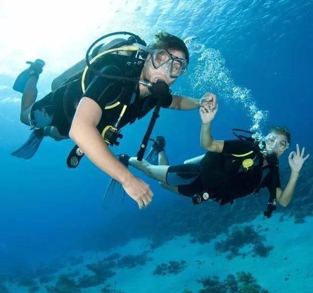 意想不到的旅程