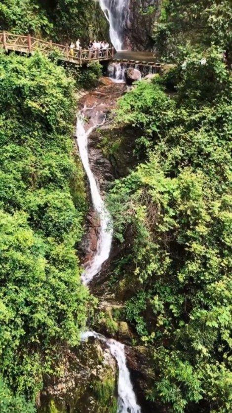 光明大陆